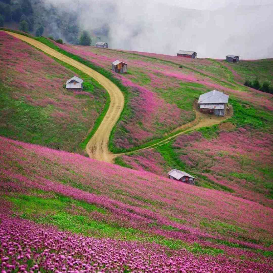  حبس ابد تنیایی حکم تو و دل مه بی با صدای دختر