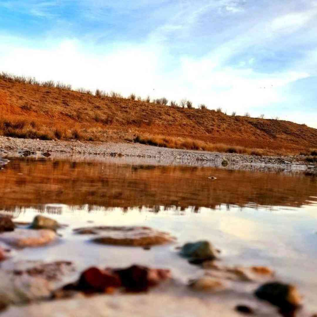  با خودم میگم نکن تهش خیلی برات بده