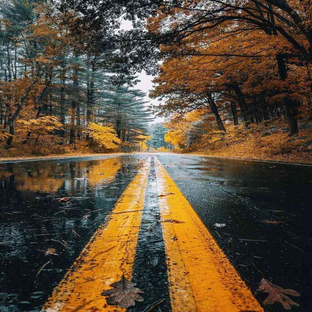 بین ما کلی خاطرس عکسا تو قاب عکس