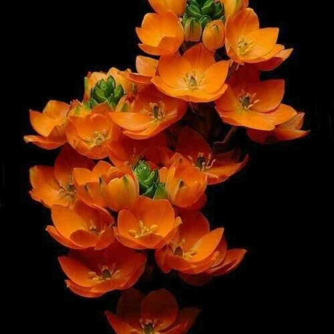  پشت سرم داره کینه تو روم رفیق فابه