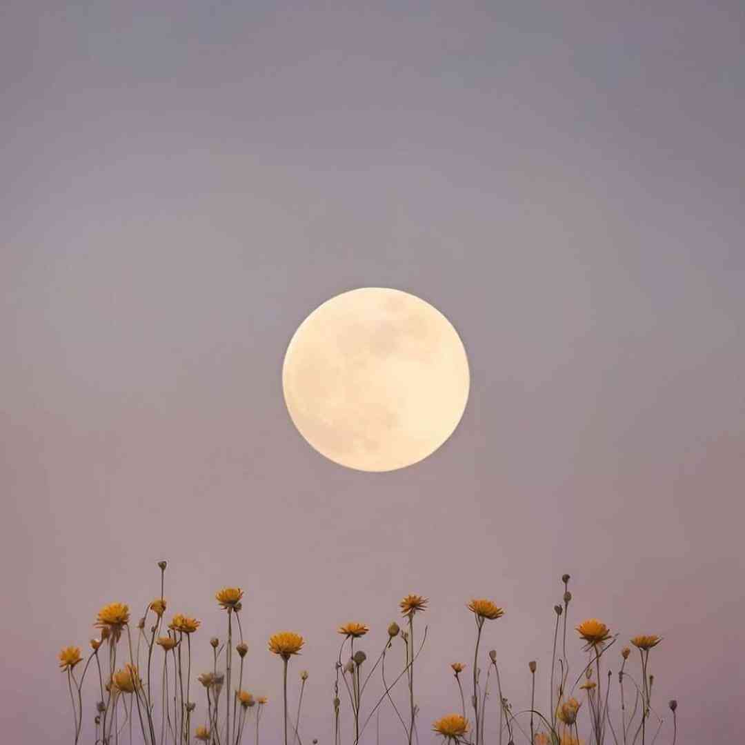  دل مو سی دیدنت شو روز نداره با صدای پسر اینستایی