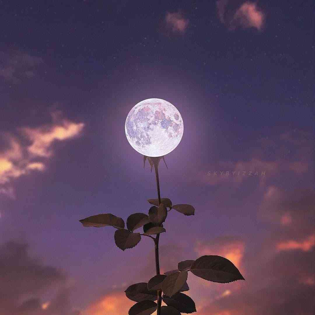 فاطمه عطایی ته خاطر