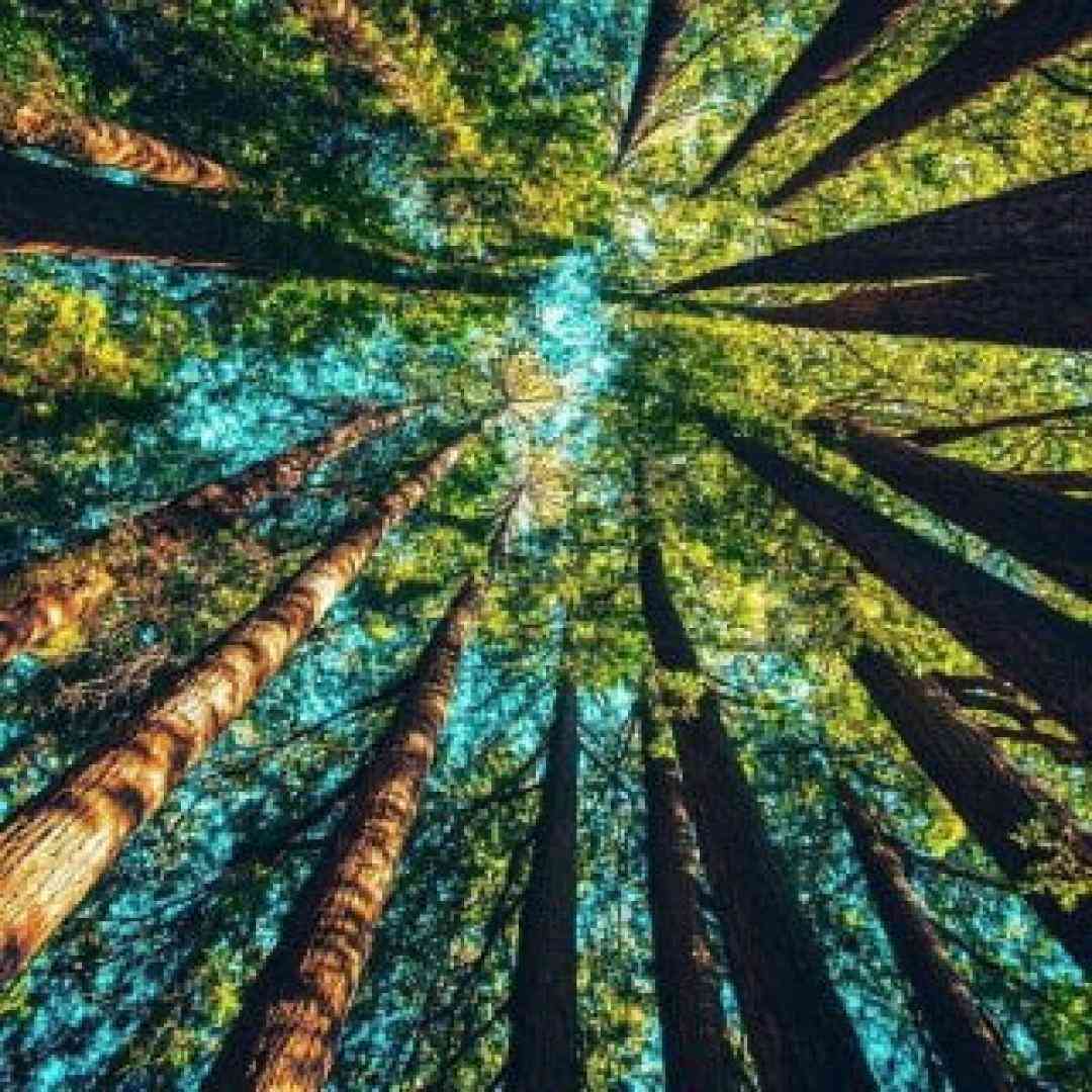  یه موقع هایی لازمه که بد شاخ شی