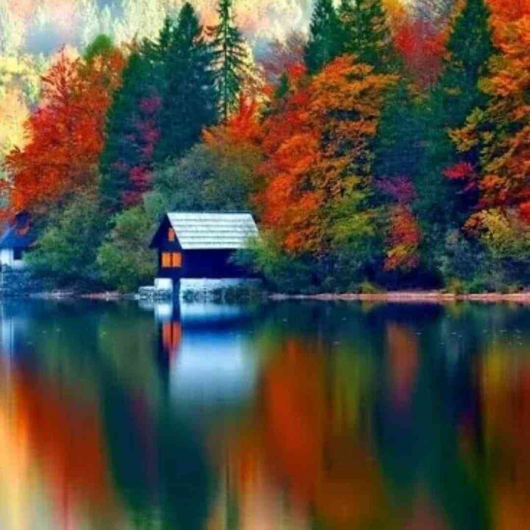  حسرتش تو خوابمه دوباره نخوابیدم افکار پریشون