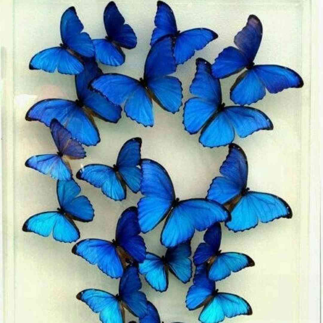  میزنم حرفمو با میز با آینه دیوار