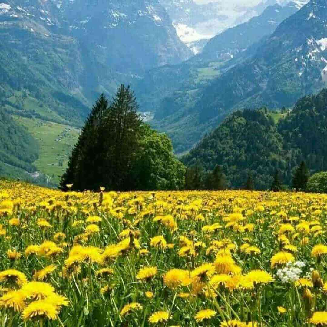  رفتی خودتو نجات دادی ولی من غرق تو شدم صدای پسر