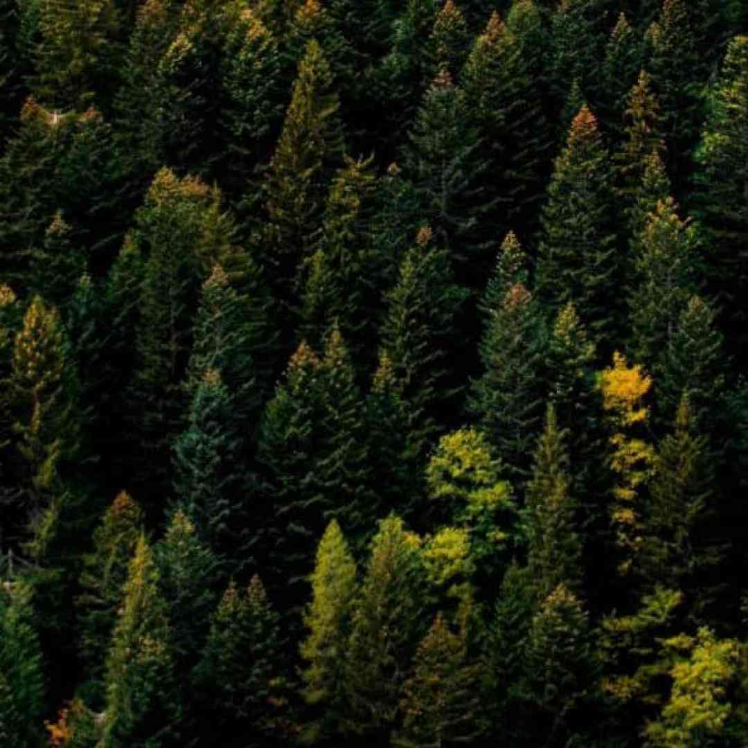    من هنوزم شب دلتنگی به یاد تو می افتم با صدای زن 