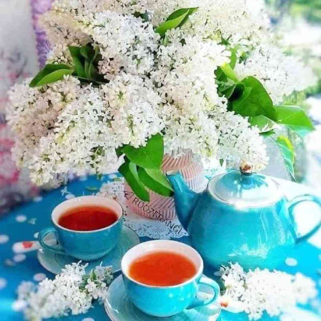  گل آتیش روی لب هاته خوشگلی والا