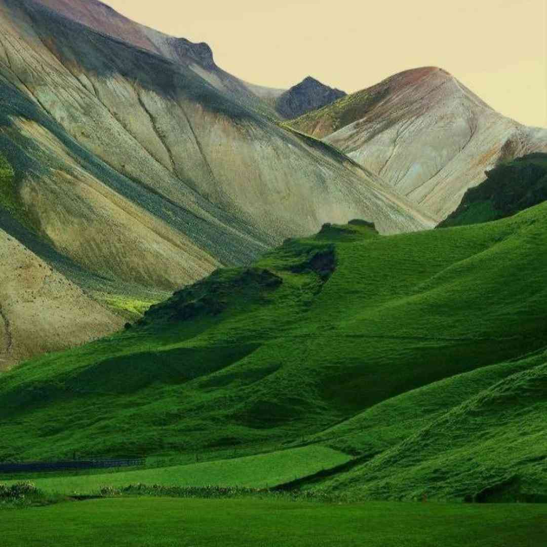  یه زمان می زدن همه دورم