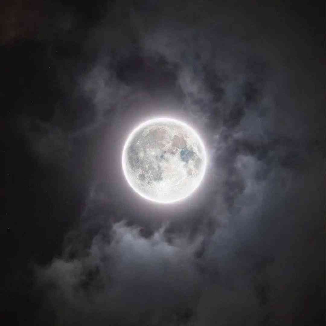  من چرا چاقو گذاشتم تو کمرم چرا استرس دارم