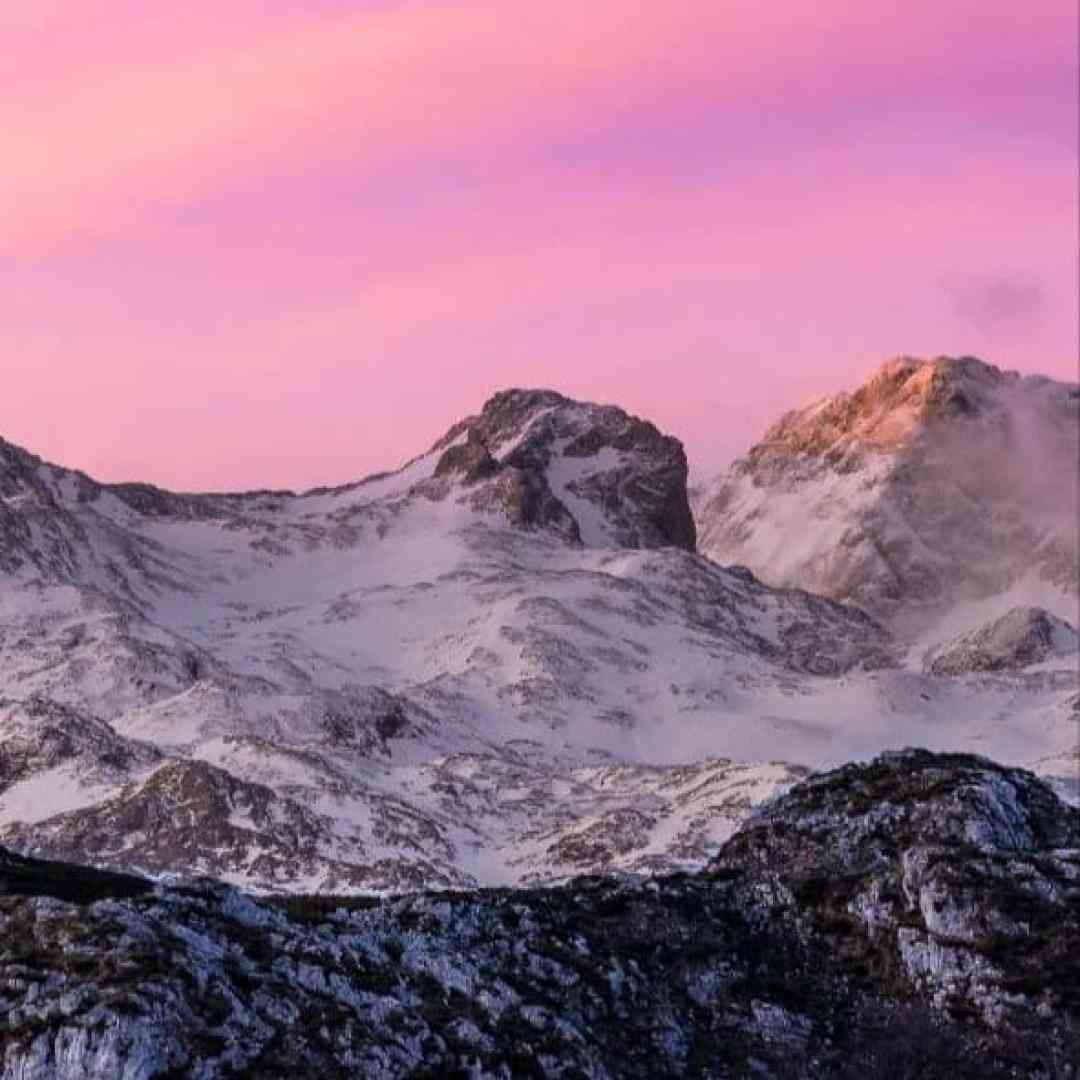  منم گرگ بیرون و بره ی تو خونه همیشه گردنم