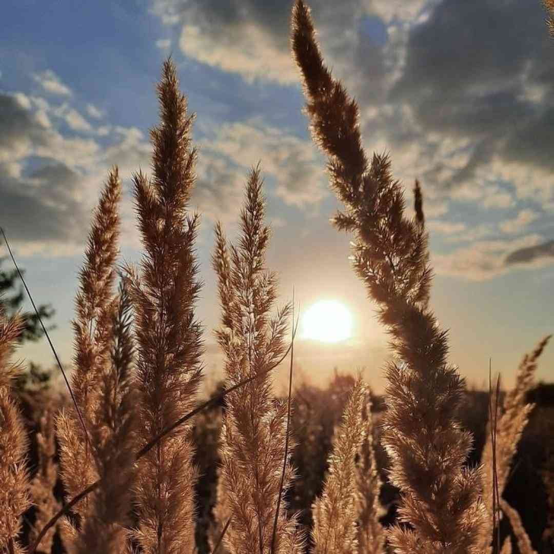  میبینمت یادم میره اکسام قاطی میشه حسام