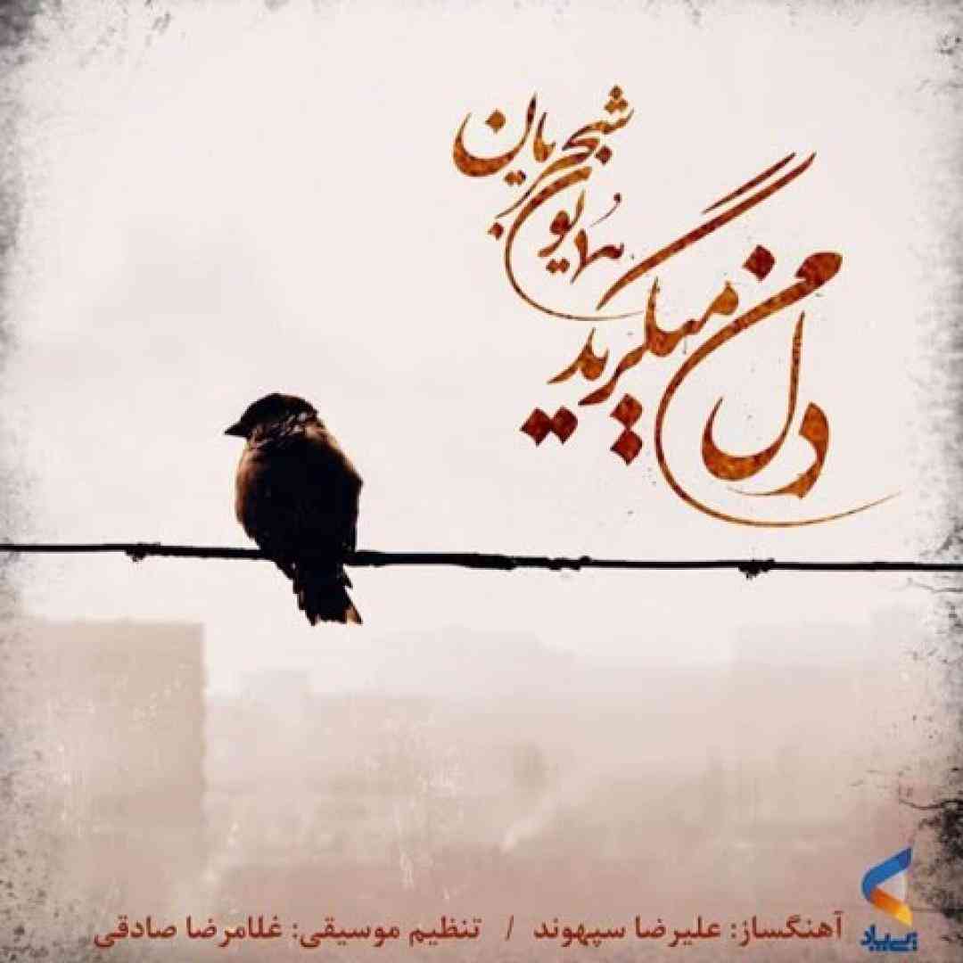 همایون شجریان دل من می گرید