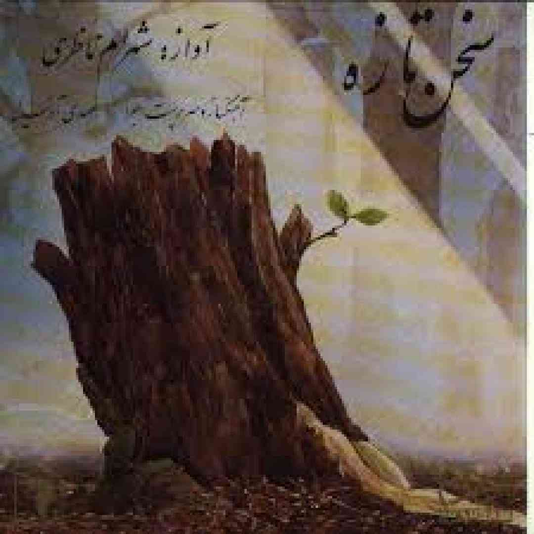 دانلود آهنگ سخن تازه از شهرام ناظری