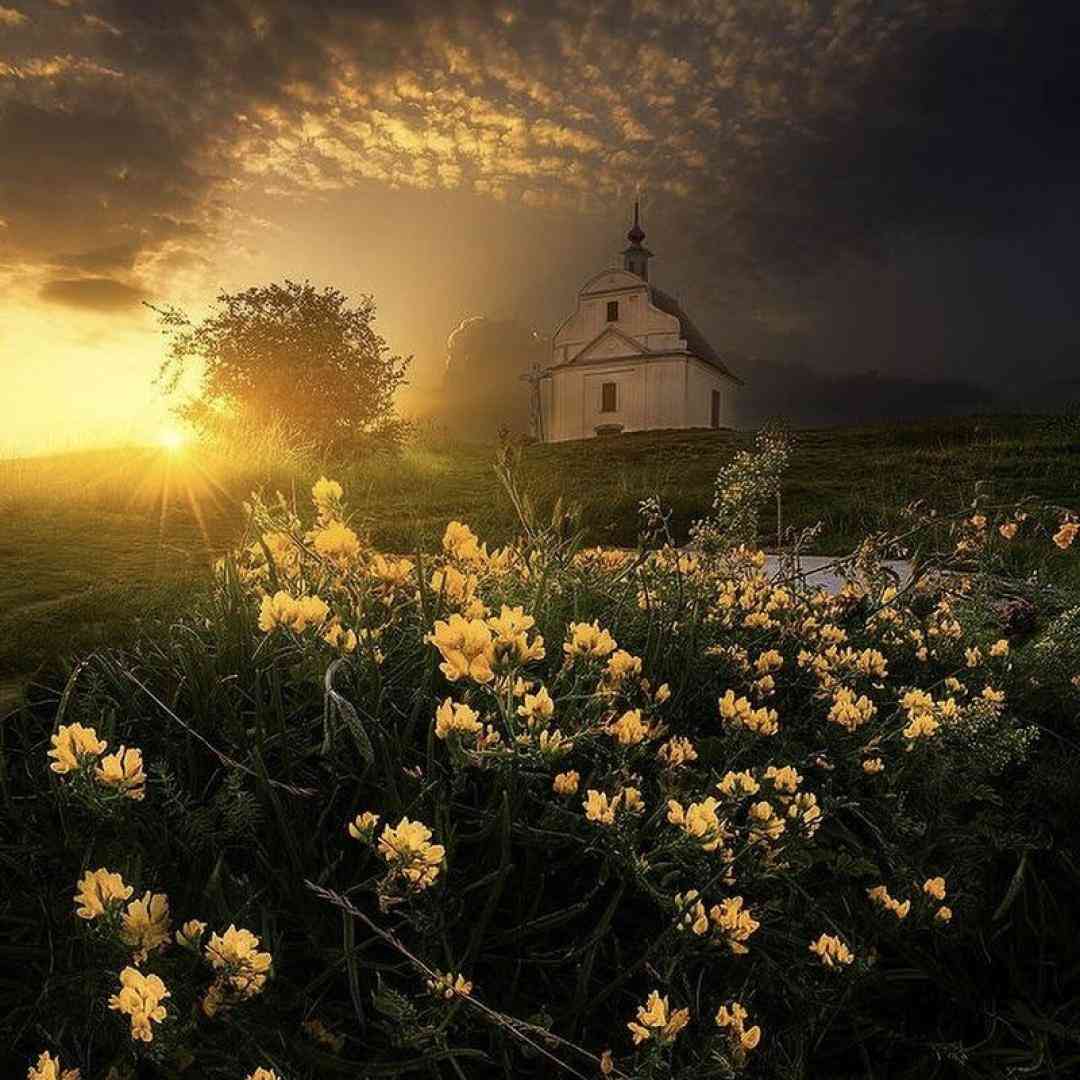  سبد سبد ستاره روی سرت میریزم با صدای زن