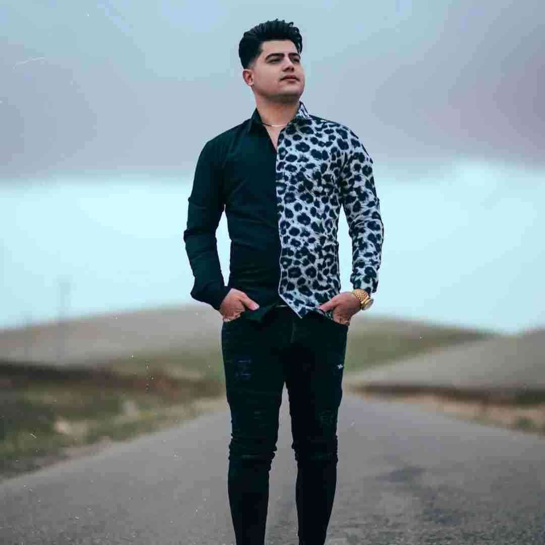 دانلود آهنگ حسرت عشق بازی و یه با وفای تک پر از امیرحافظ رنجبر
