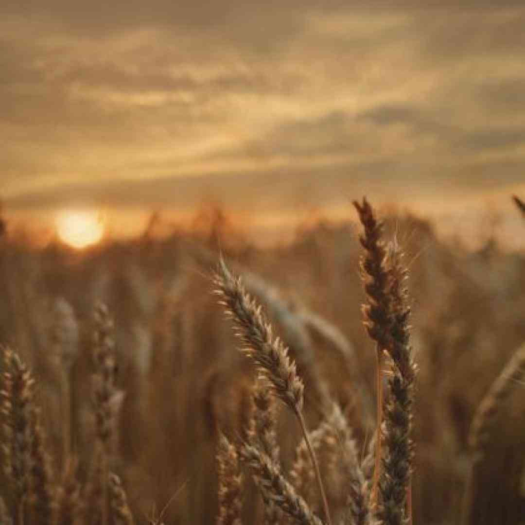  تو گوشم ایرپاد طرفمون نشه پیدات