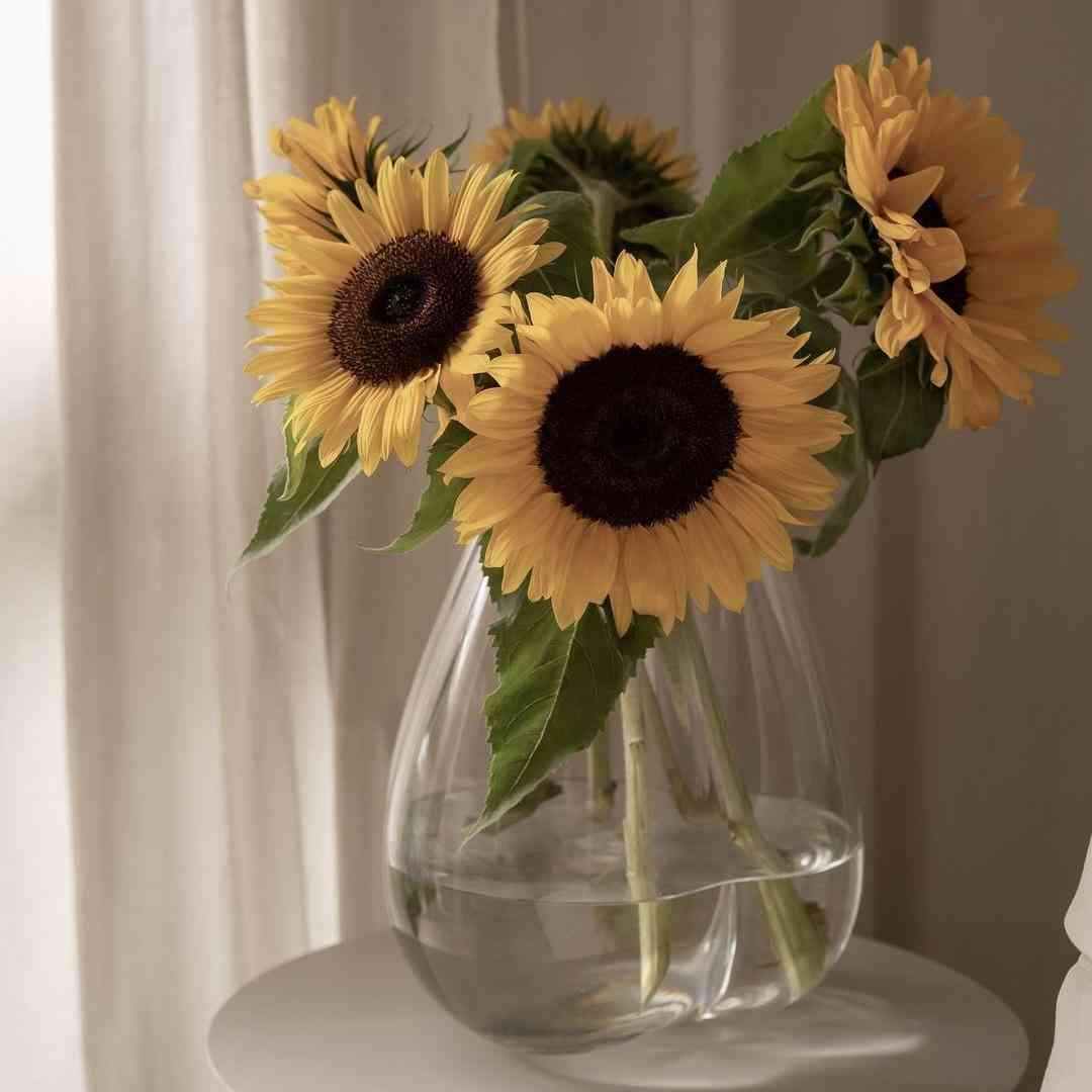  بدون جیغ بدون داد صدای آروم هم بهم میاد