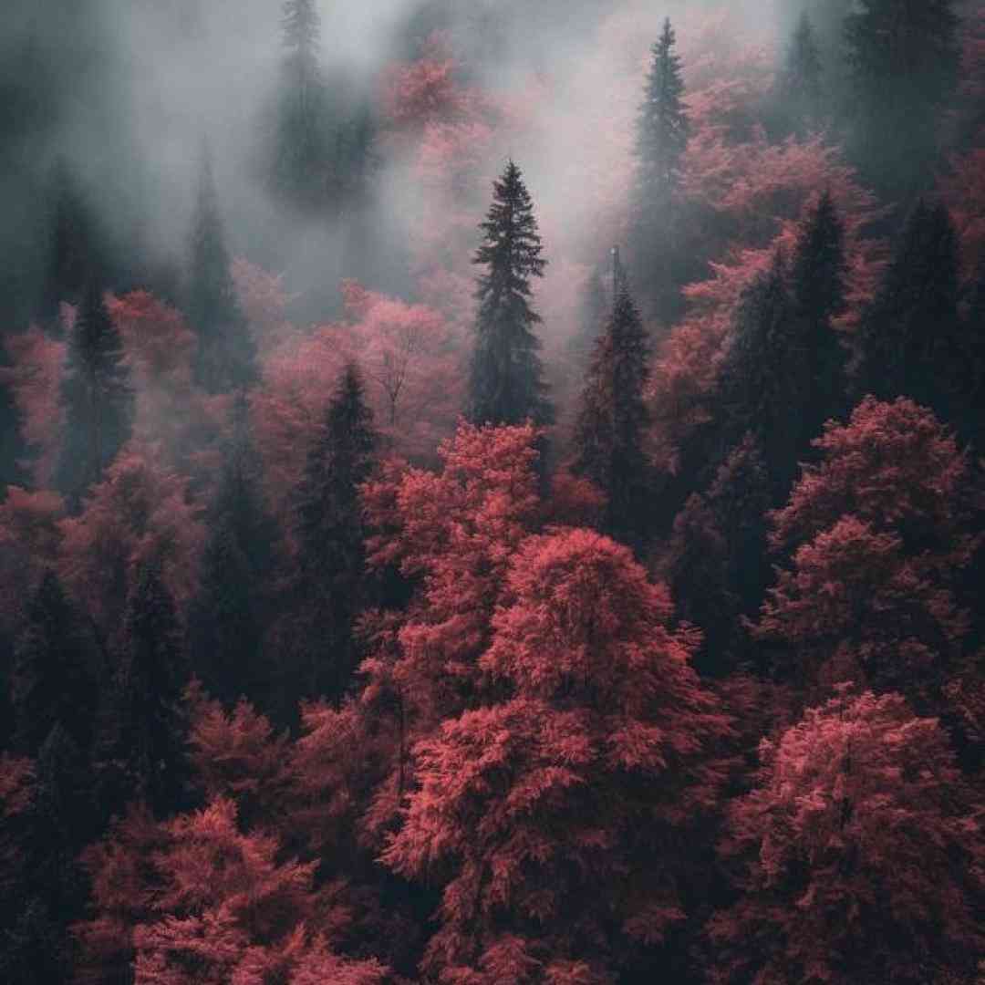  شدم تو زیباییش غرق غمش (میکس اینستا)