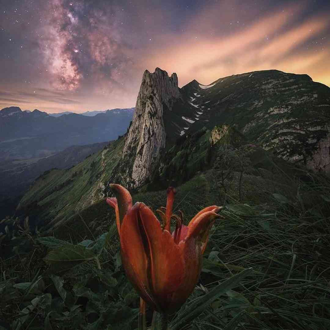  میگذرم از یه ایران بابتت