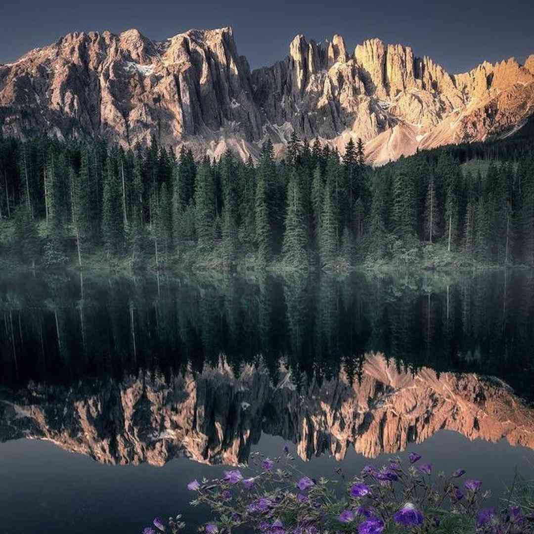  با من هیچکس مهربون نبود (میکس اینستایی)