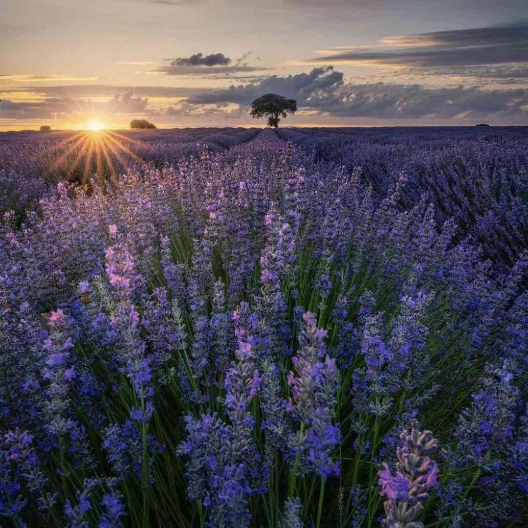  تو مال منی هر جای شهر بغل منی