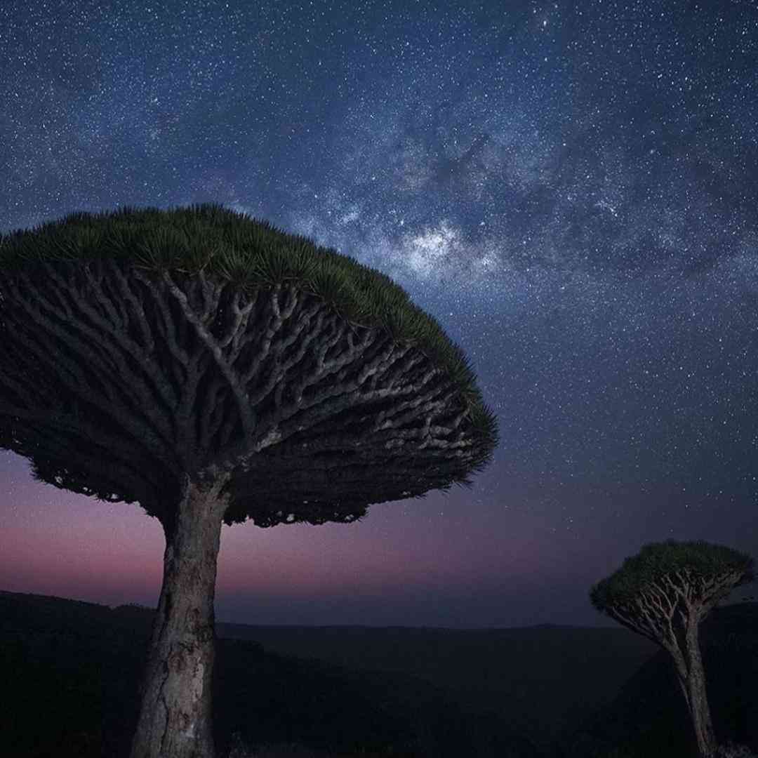  جنگیدم واسه عشق عکستو دیدم باهاشو