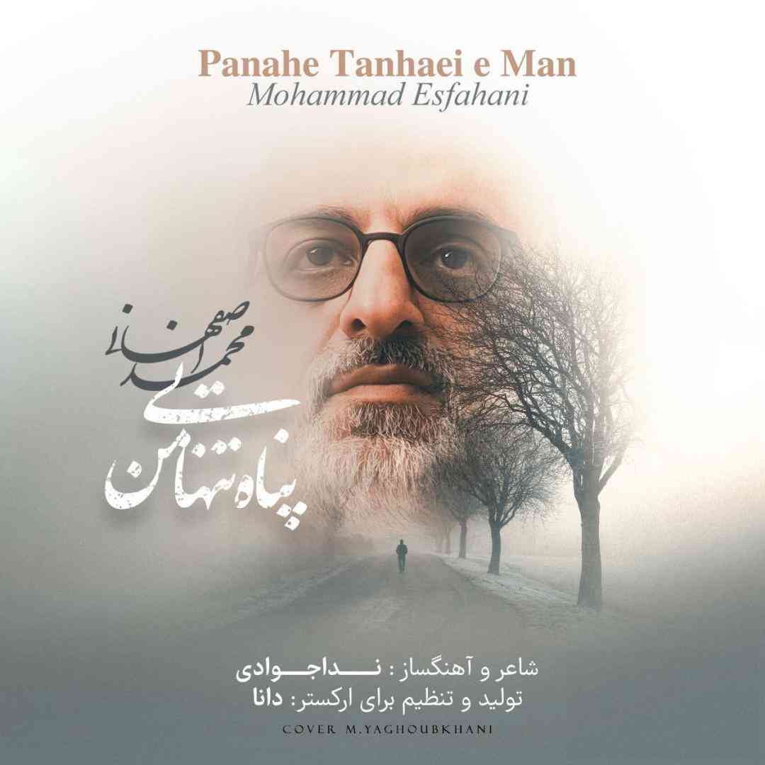 دانلود آهنگ پناه تنهایی من از محمد اصفهانی