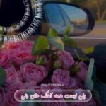 دانلود همه آهنگ های جنی (بلک پینک)