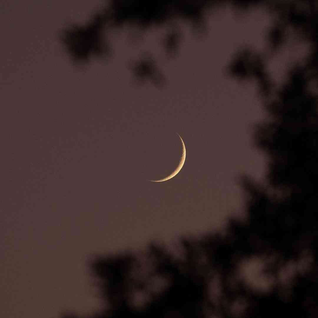  امشب دیگه هر حرفی دلم خواست میزنم