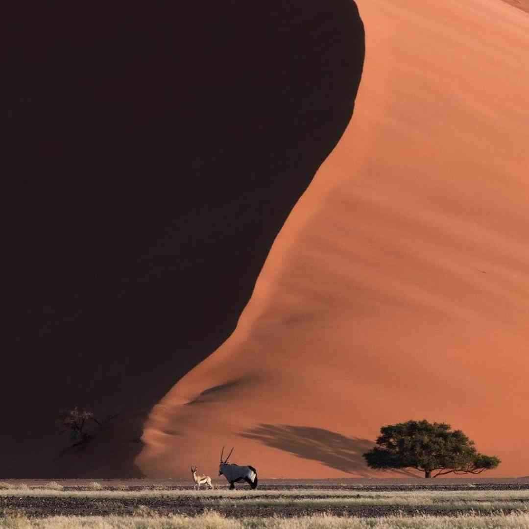  خارجی اگه این آهنگ رو شنیدی کمرتو خم کن