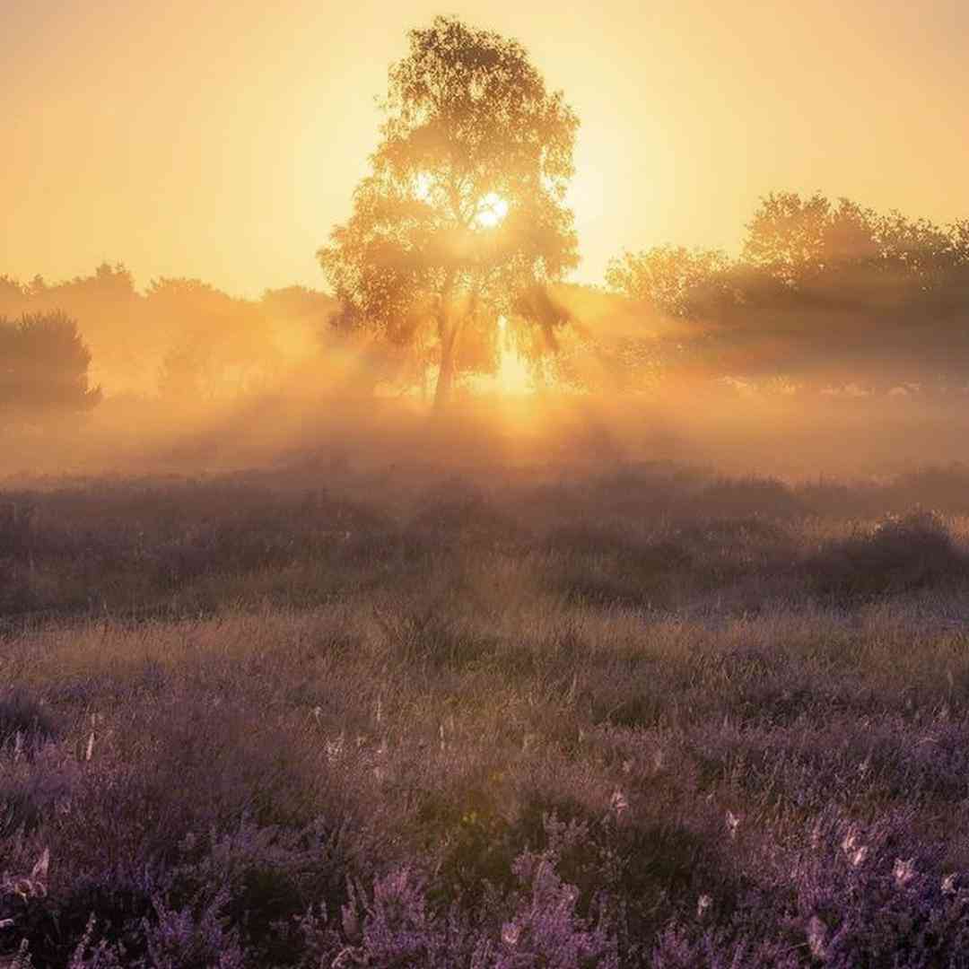 دانلود آهنگ جدید هات مثل دوبای گرمتر از جولای مادلینگ