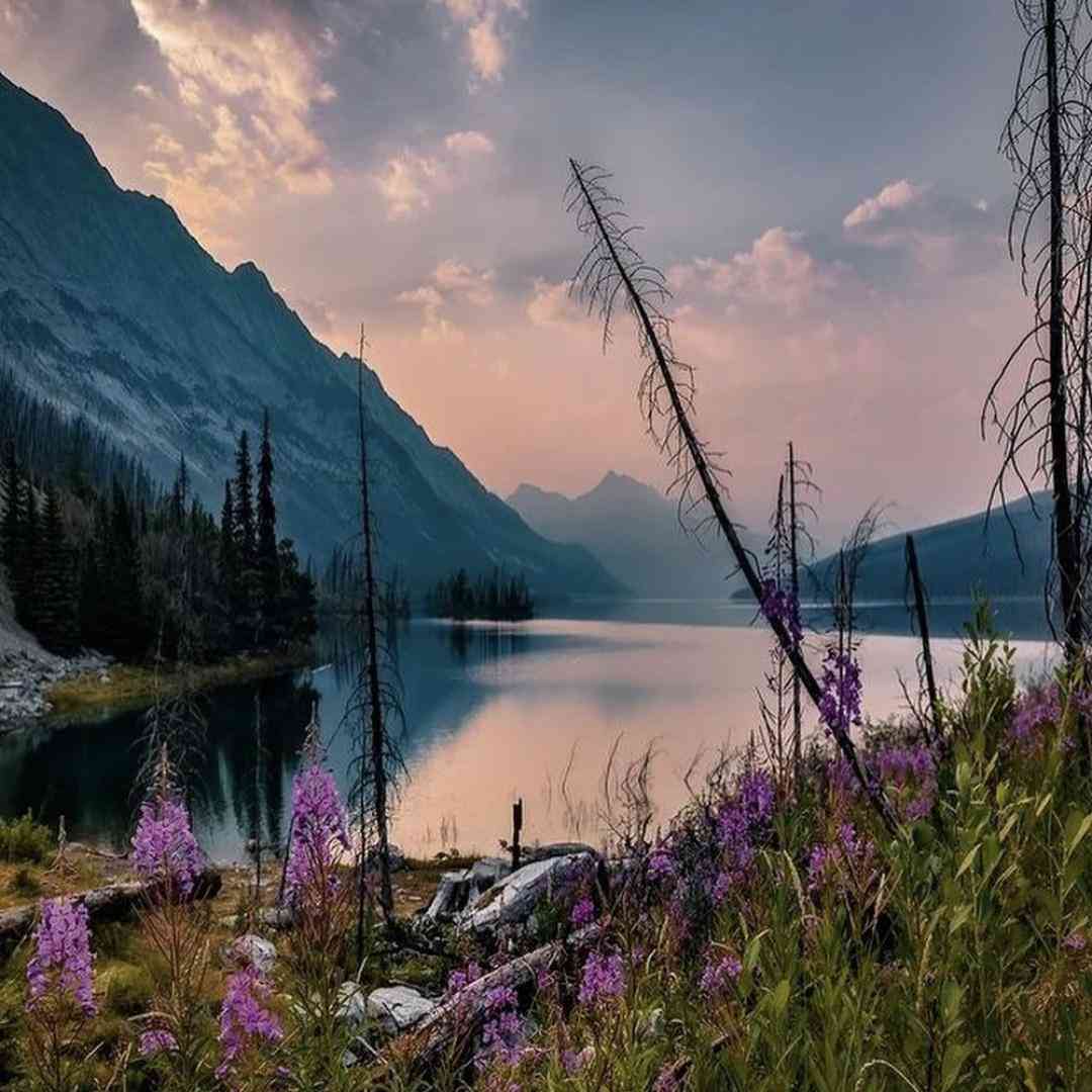  خیسه موهات سه صبح تو بی ان بی