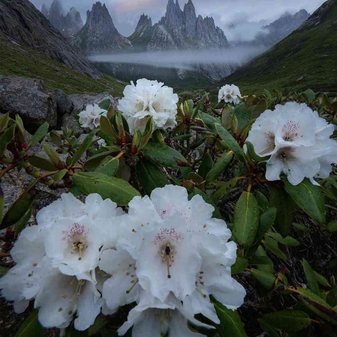 دانلود آهنگ جدید دل اون میخواد بره منو تنها بزاره بمونه یه خاطره