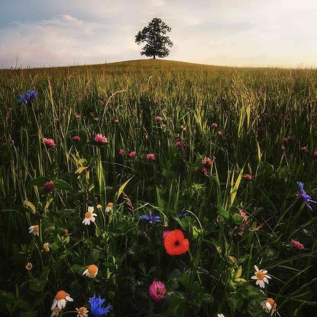  خفه کن پسره رو زدم رفت خلسه سوبر بودم