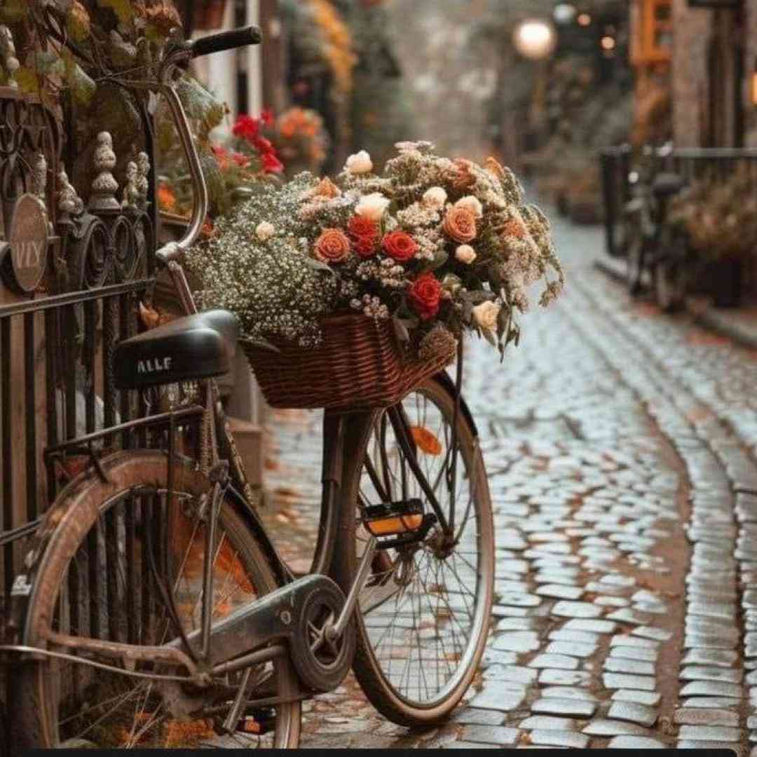  سرویس شدم نبود کسی چپش