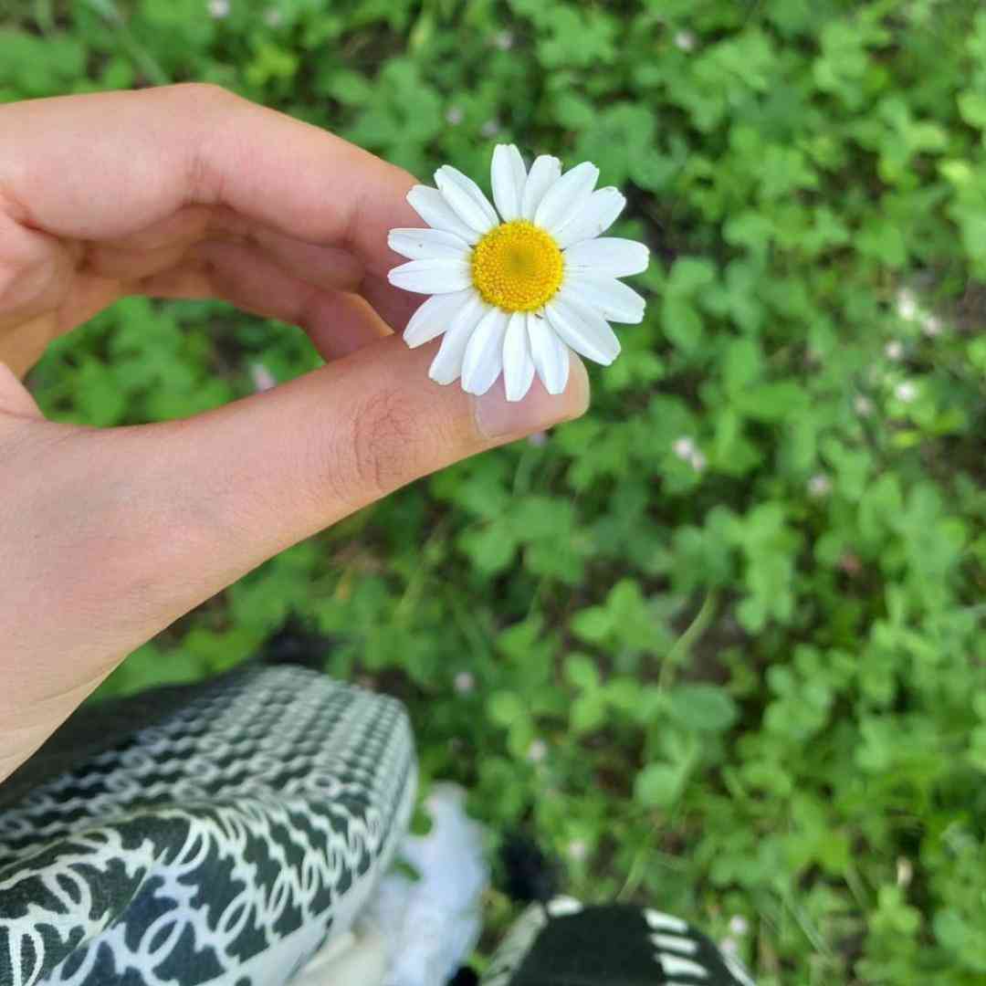 دانلود آهنگ جدید سمت راست بلادی چپ بلادی چشامه