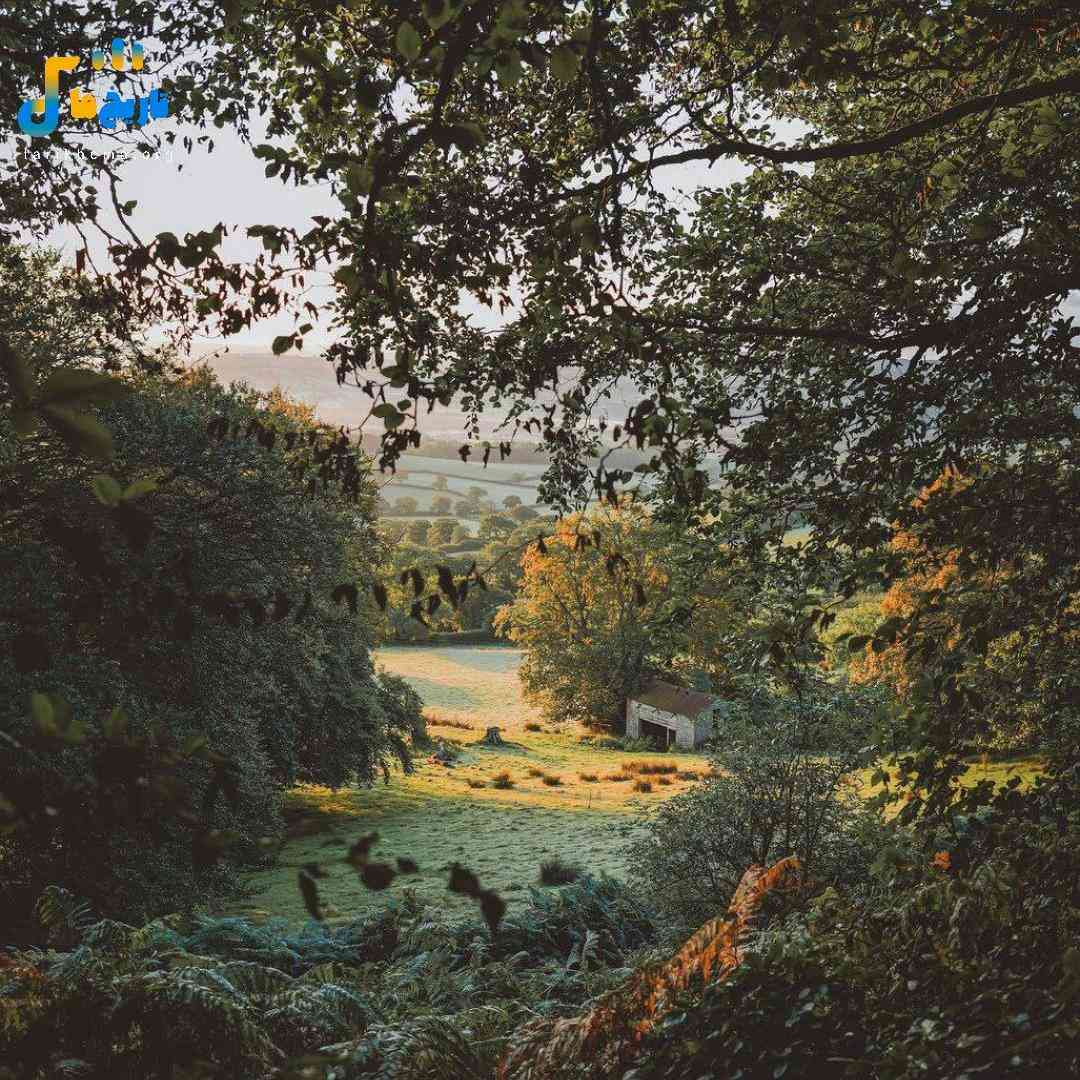  توهمی چون که به یادتم خواب و بیداری من به یادتم