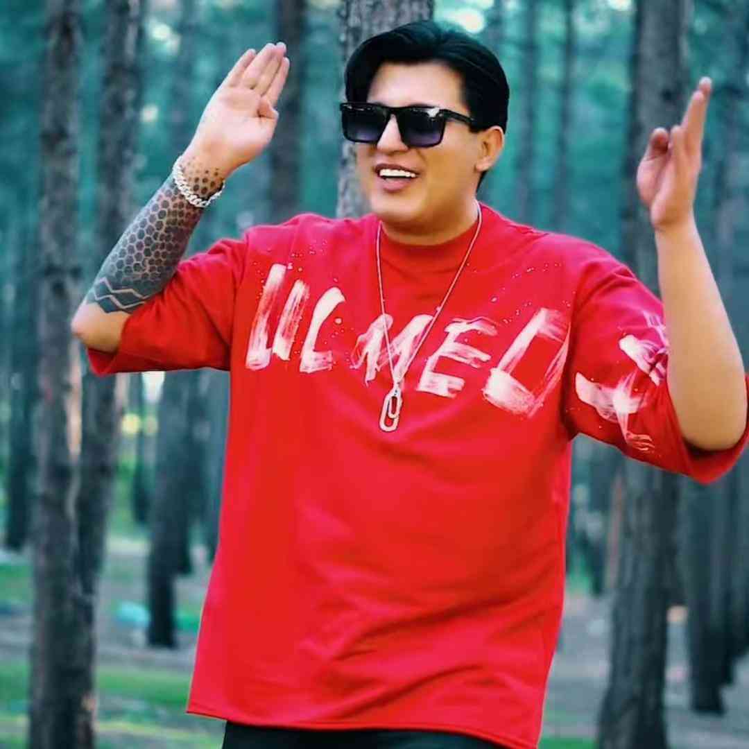 حامد الماسی شاهنشاه