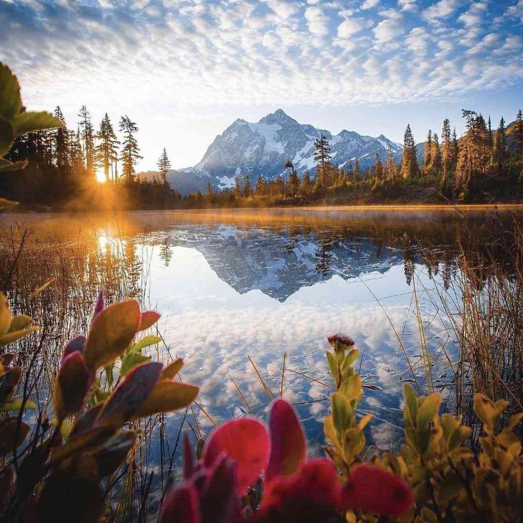  داداشی خر نشیا نبینم مست شدی بهش زنگ زدیا