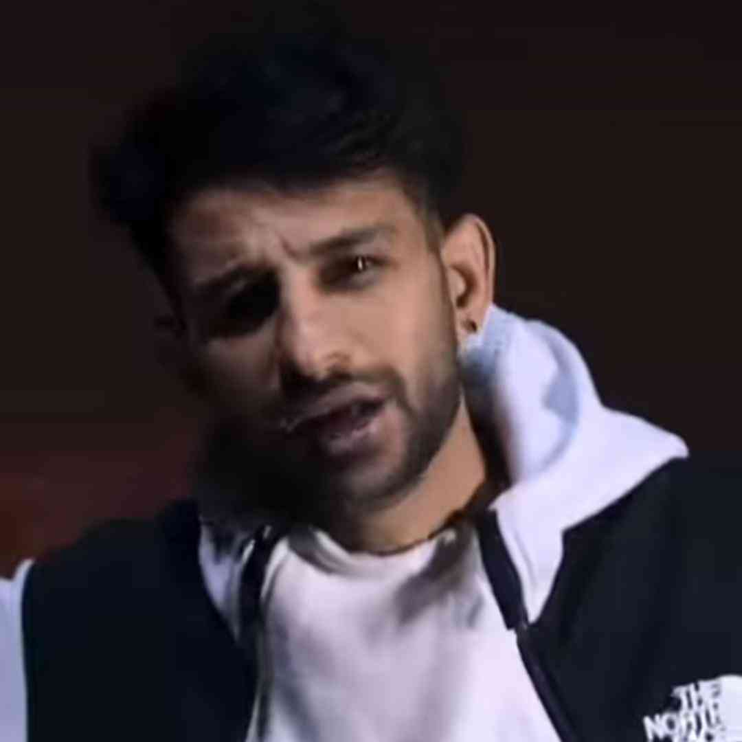 رضا رادین برس