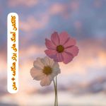 دانلود کالکشن آهنگ های برتر هنگامه + متن