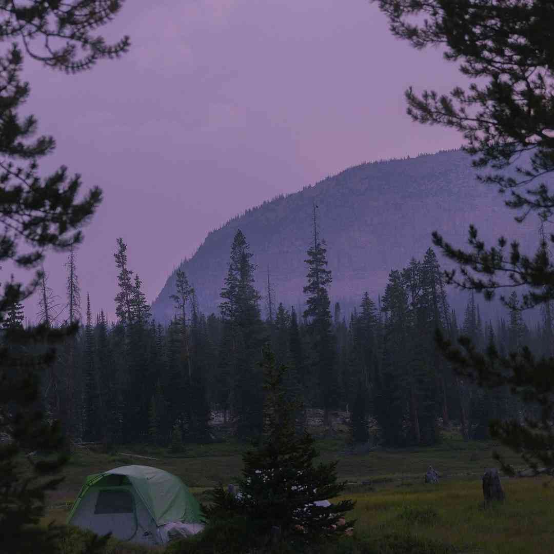 ماهک لای لای اصغر