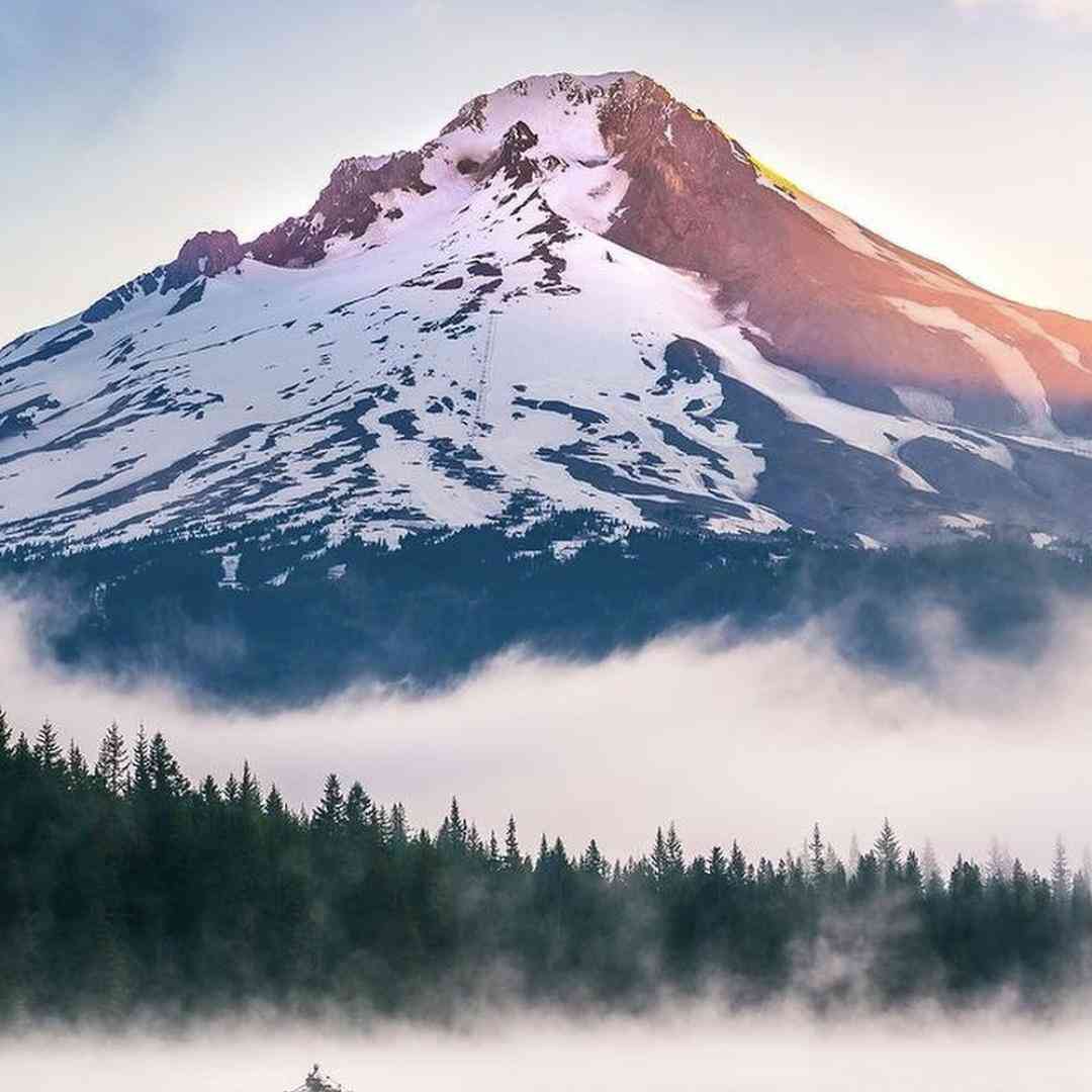 دانلود آهنگ جدید دروغ نمیگم میخوام برم بمیرم با صدای پسر