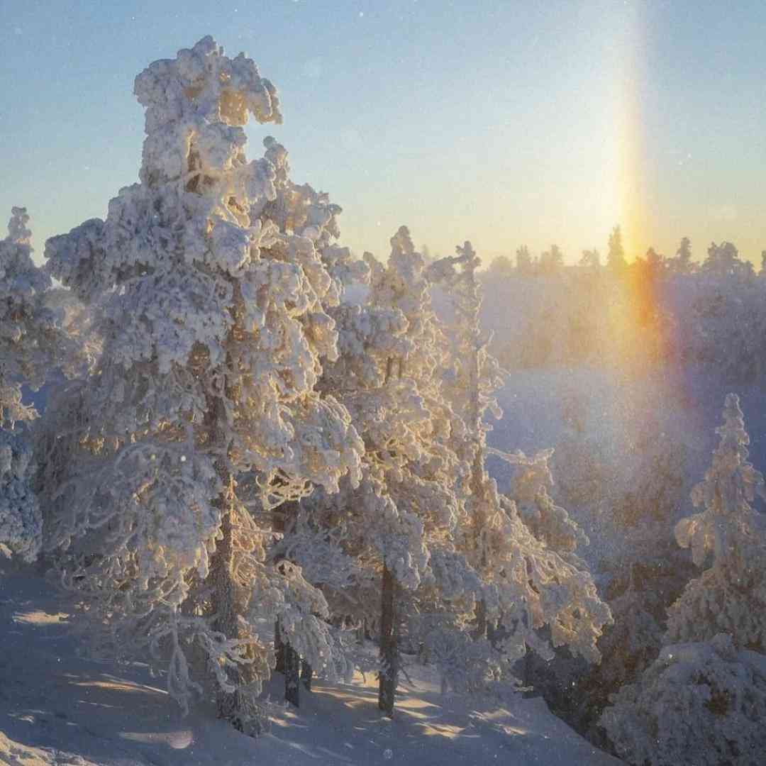  ترکی به رفتنی نمیگم بمون اگه قراره برگرده هم برنگرده