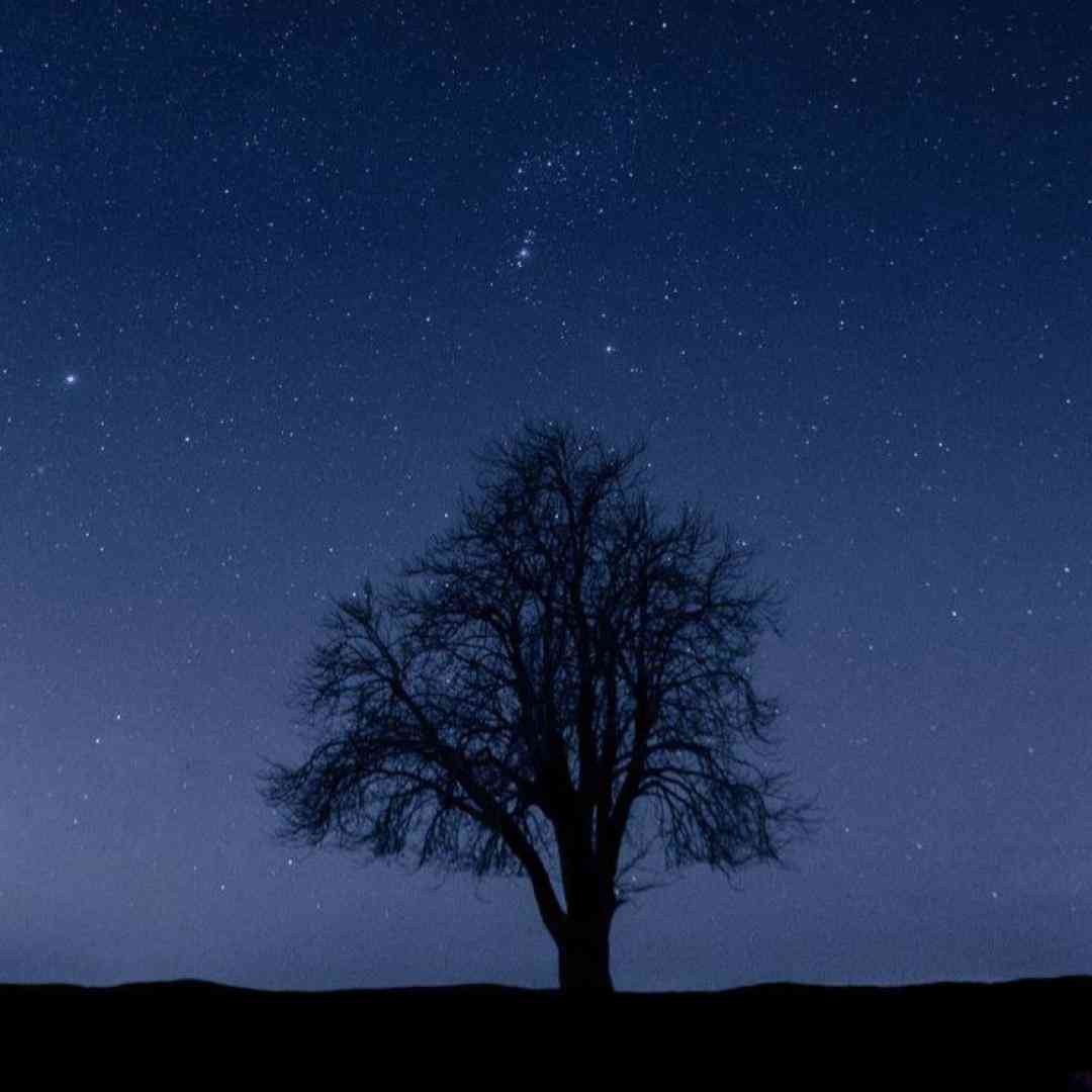 دانلود آهنگ آ برار کسی فکر نکنه برار ندارمه از فاطمه عطایی