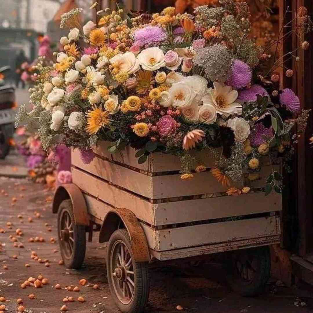 ولی اینا میگذره زود بابا همه چی که پول نی