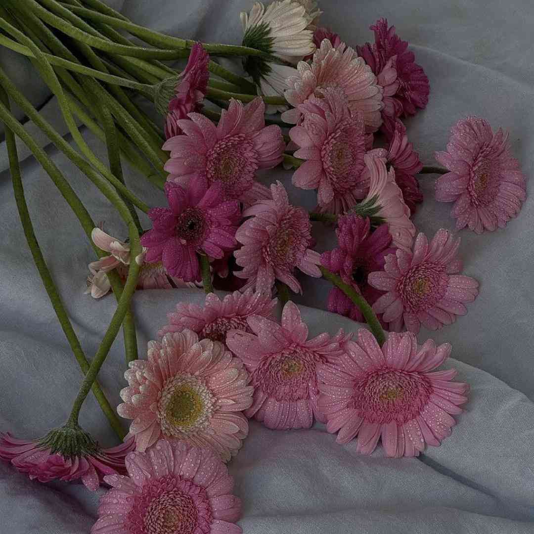نمیبینیم با شوق قدیمام دیگه دلم گرم نیست