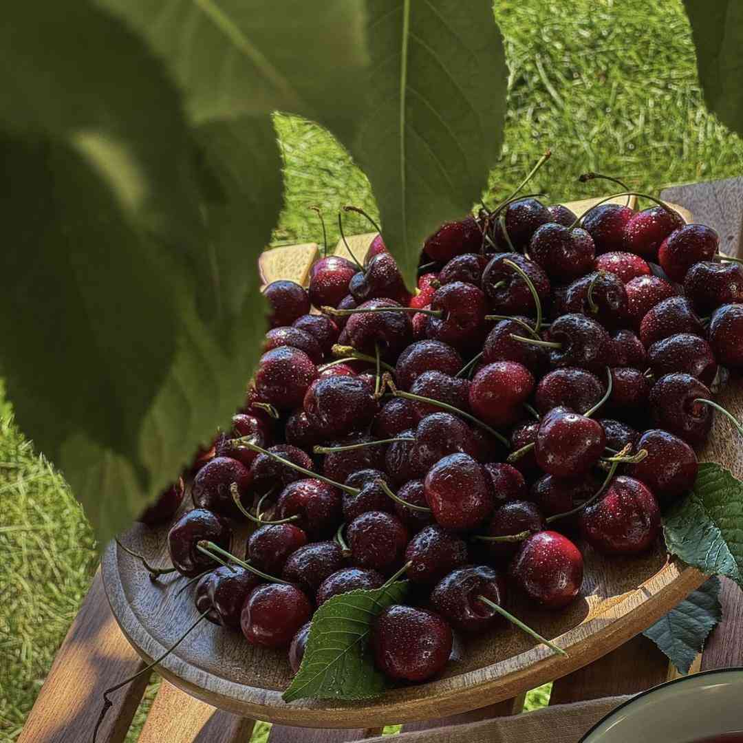  برخیز که روز دختر آمد دوران سیو پول با صدای بچه
