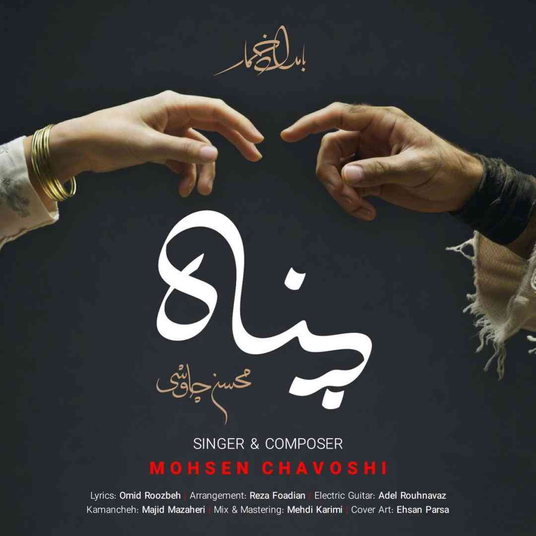 محسن چاوشی پناه